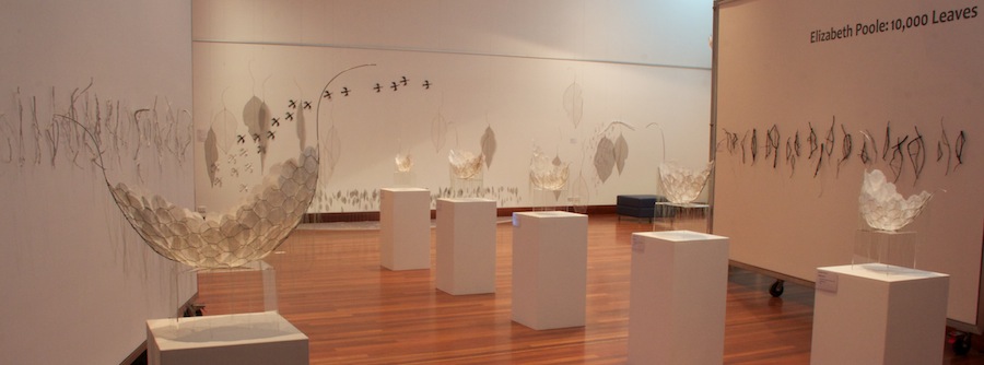 View of 10,000 Leaves Exhibition at University of The Sunshine Coast